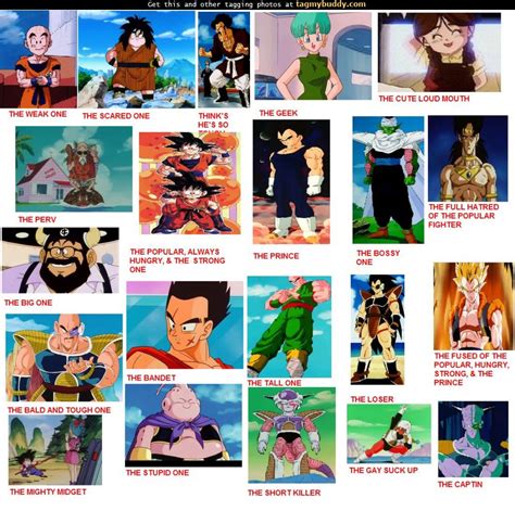 List of Dragon Ball characters .